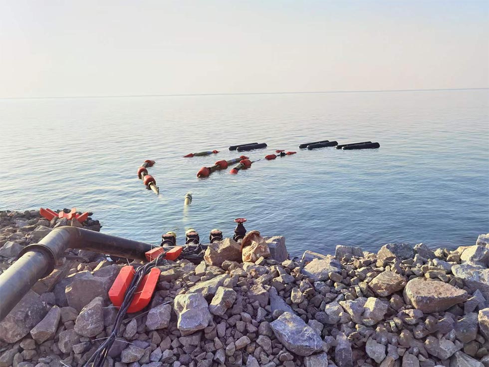 Anti corrosion electric submersible seawater pump