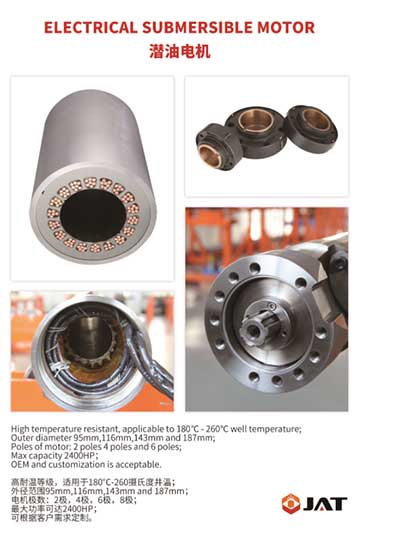 Electrical Submersible Pump